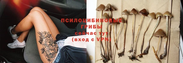крисы Белокуриха