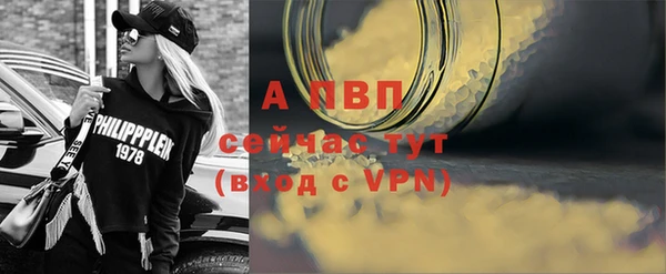крисы Белокуриха