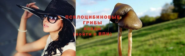 крисы Белокуриха
