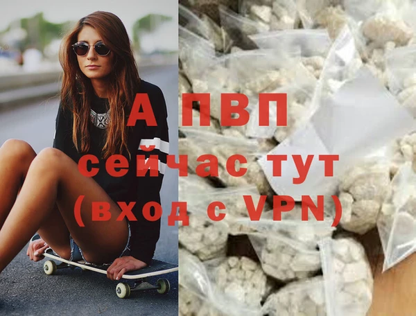 крисы Белокуриха
