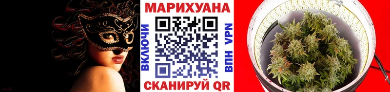 KRAKEN сайт Верея Бошки Шишки сатива